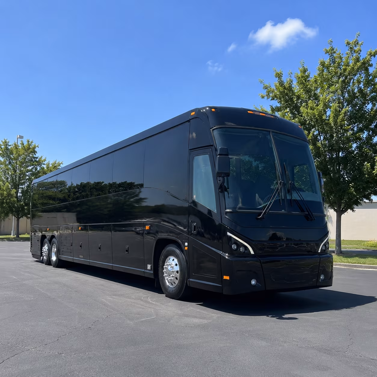 Lacey Wine Tour & Brewery Transportation