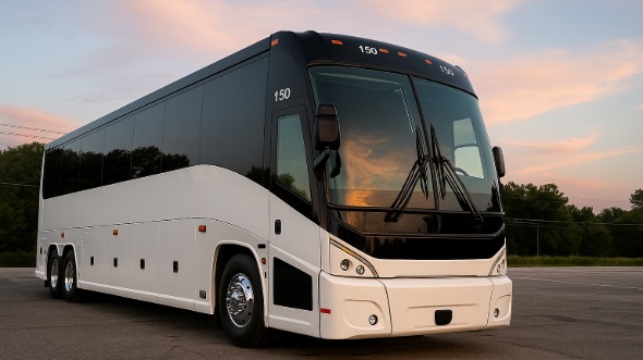 lacey wine tour and pub crawl bus rentals